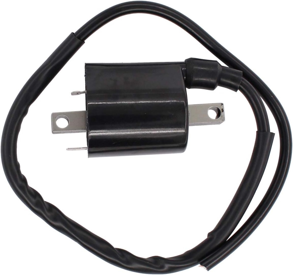 Picture of YAMAHA 4 CYCLE IGNITION COIL (G2-9)